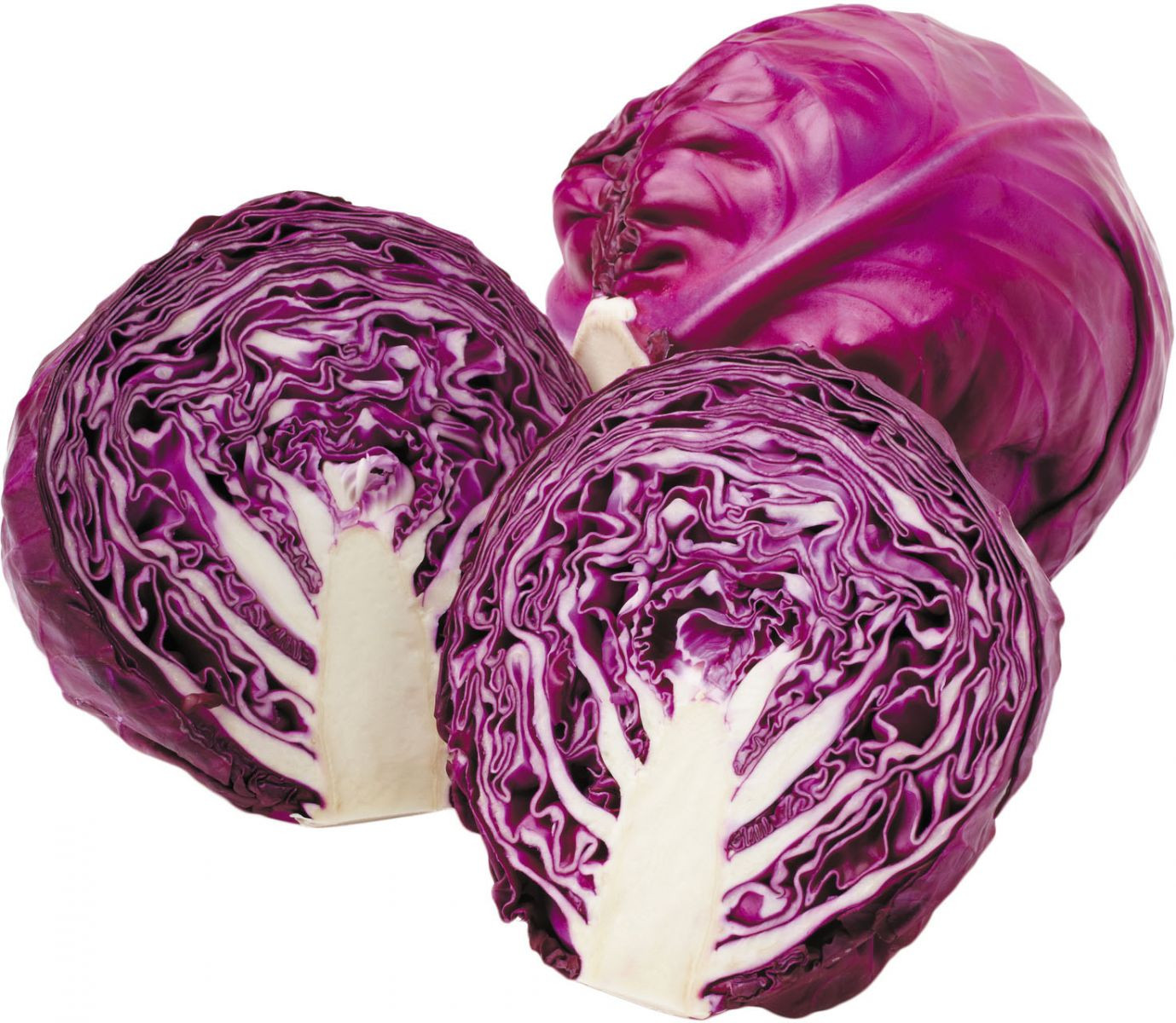 Red Cabbage (लाल पत्तागोभी)