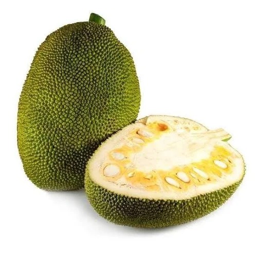 Jackfruit (कटहल)