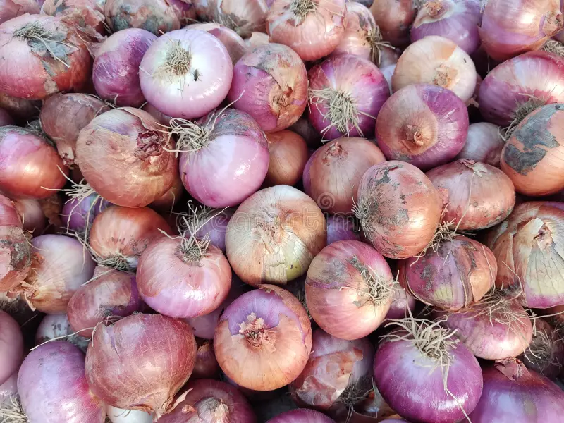 Onion Desi प्याज देसी